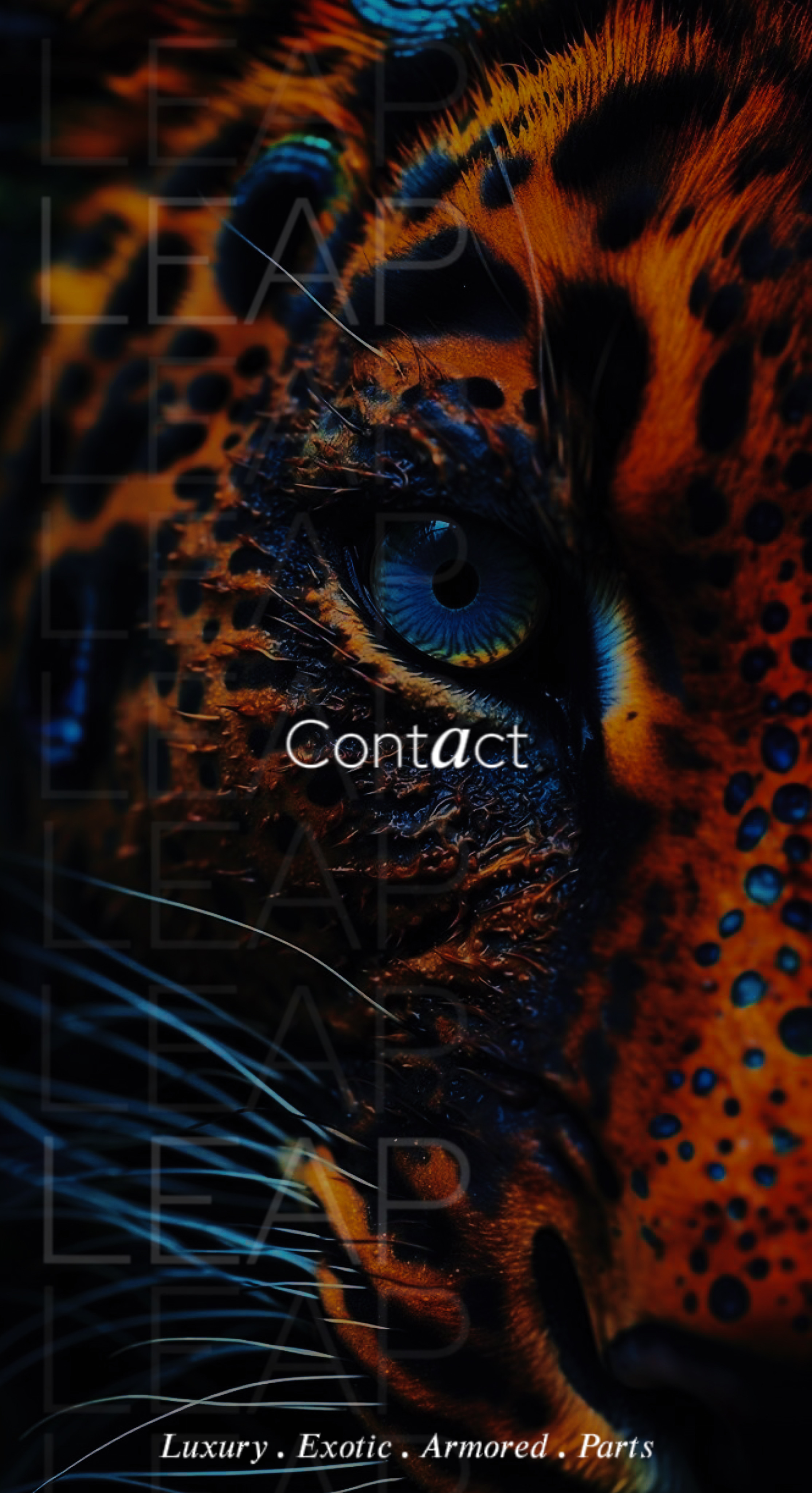 contactBg2