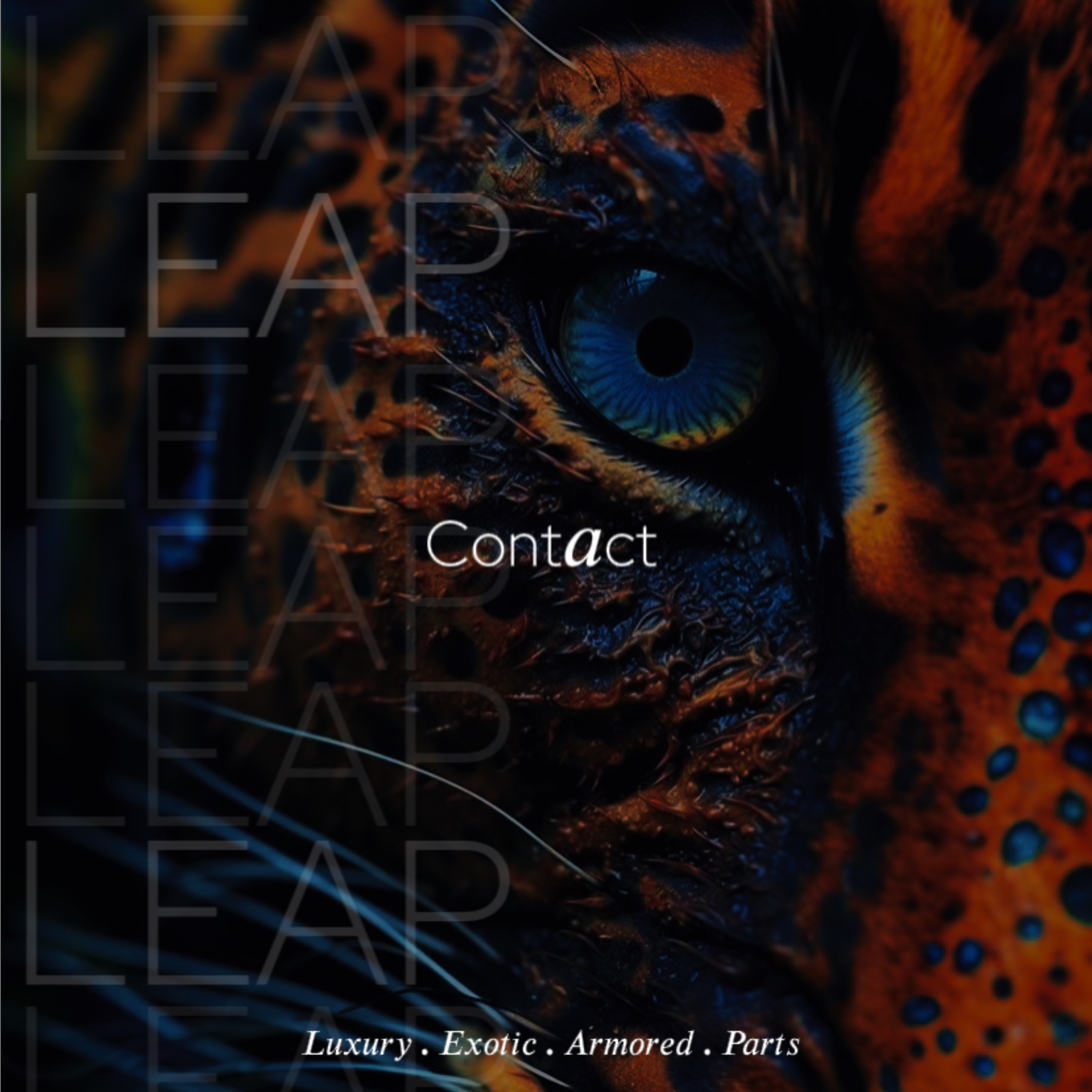 contactBg