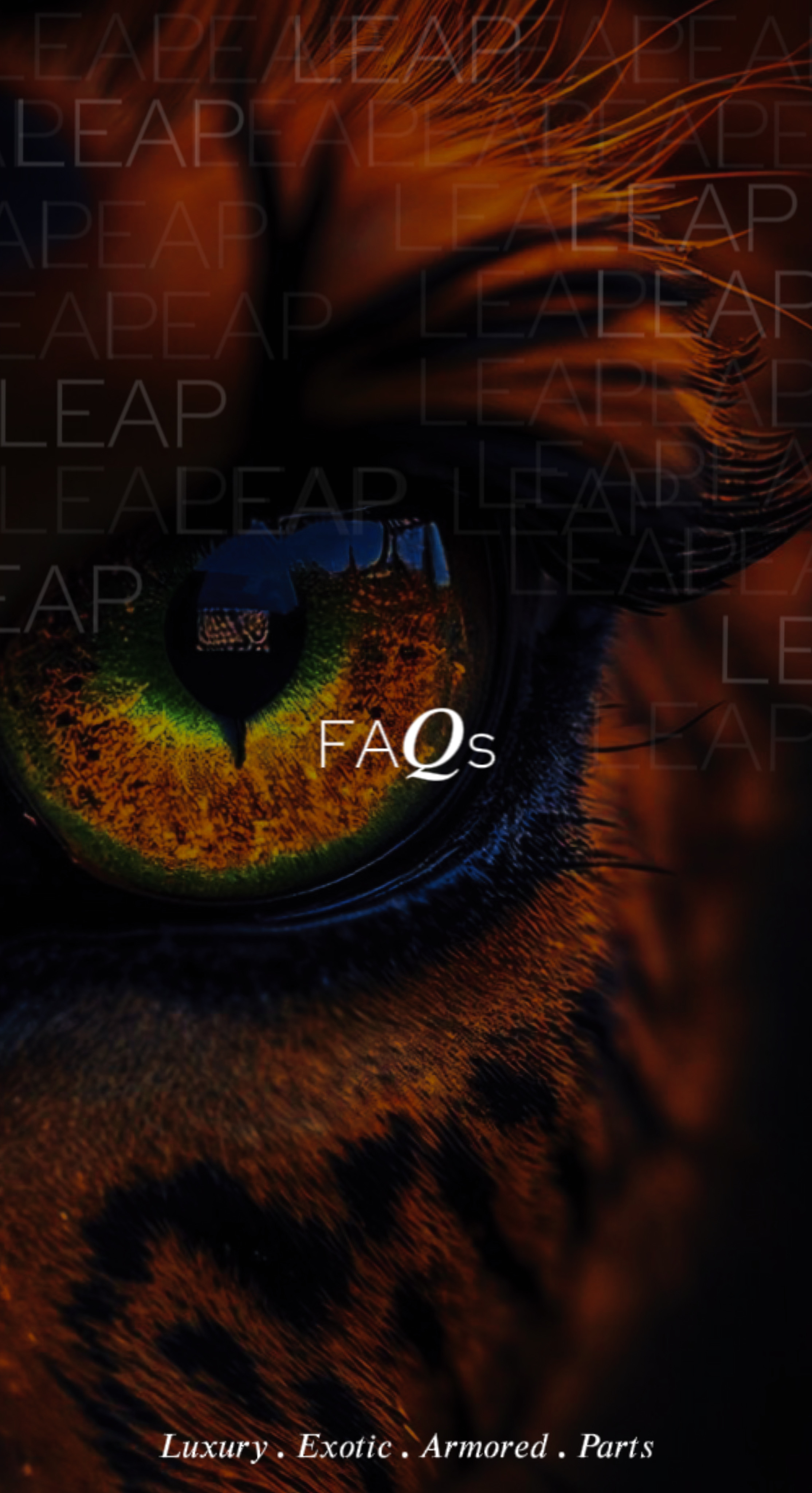 faqBg2