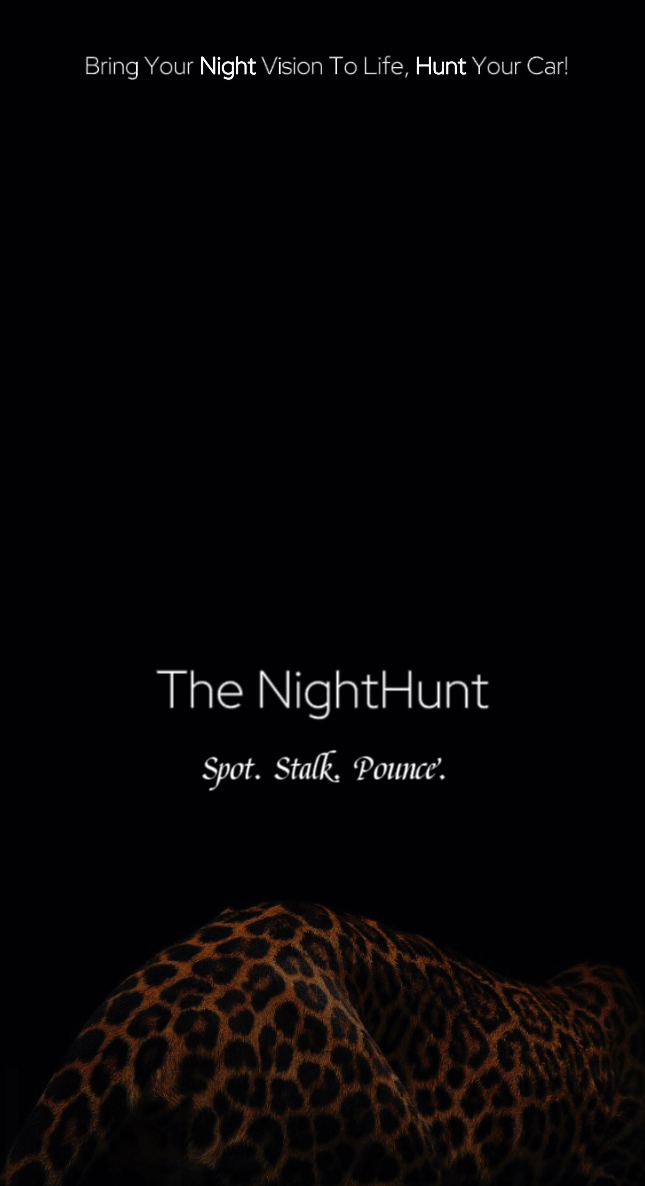 The Night Hunt