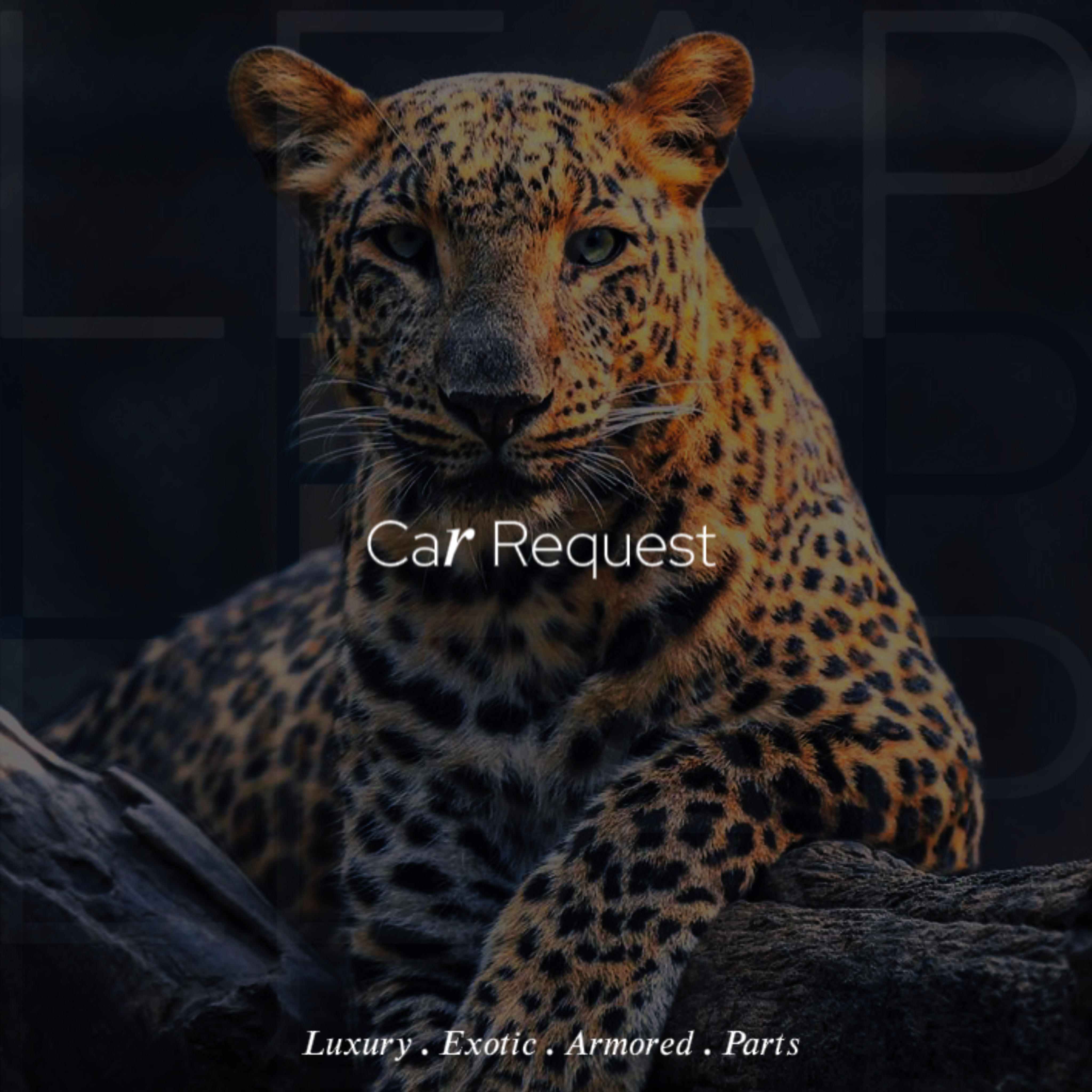 exploreHead