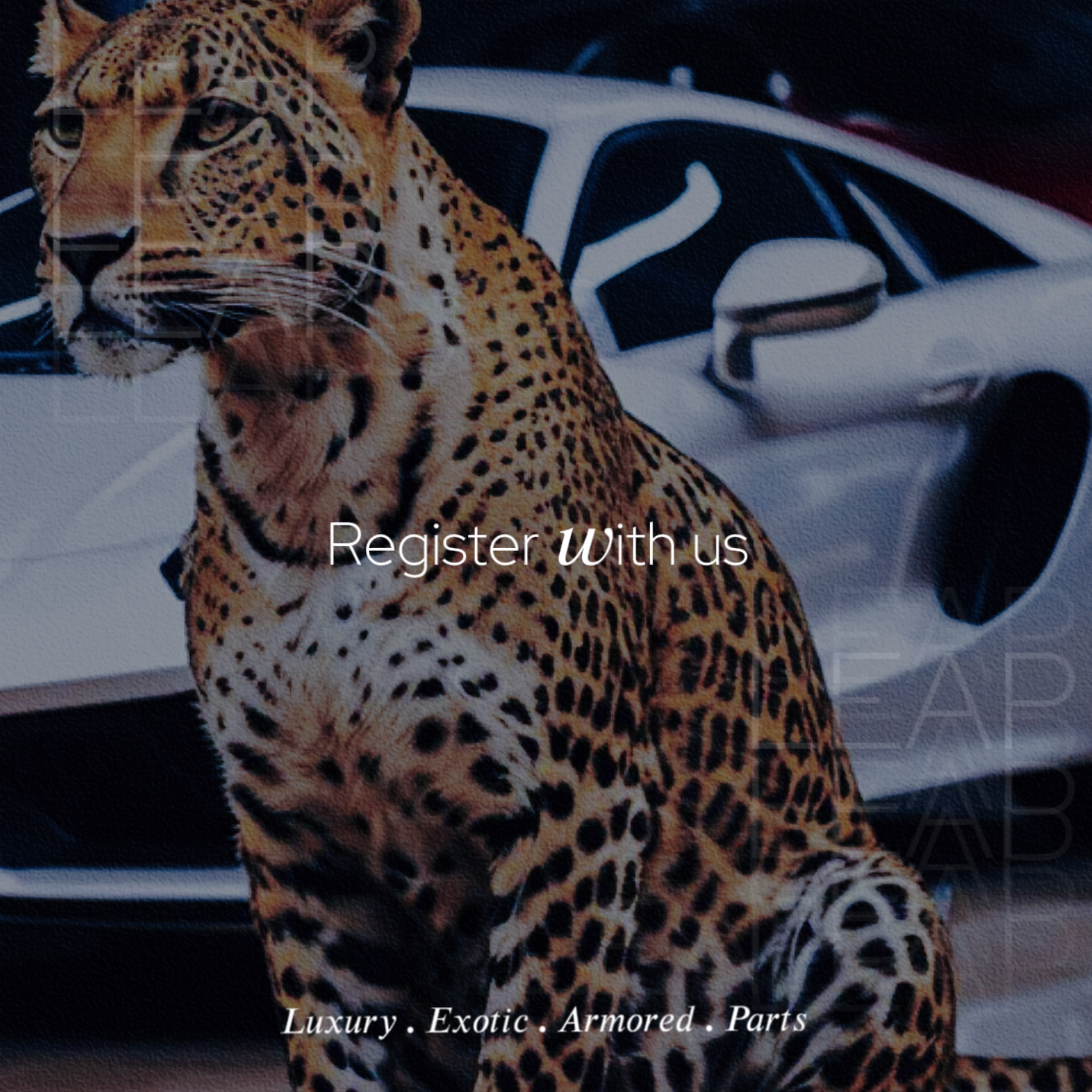 registerBg