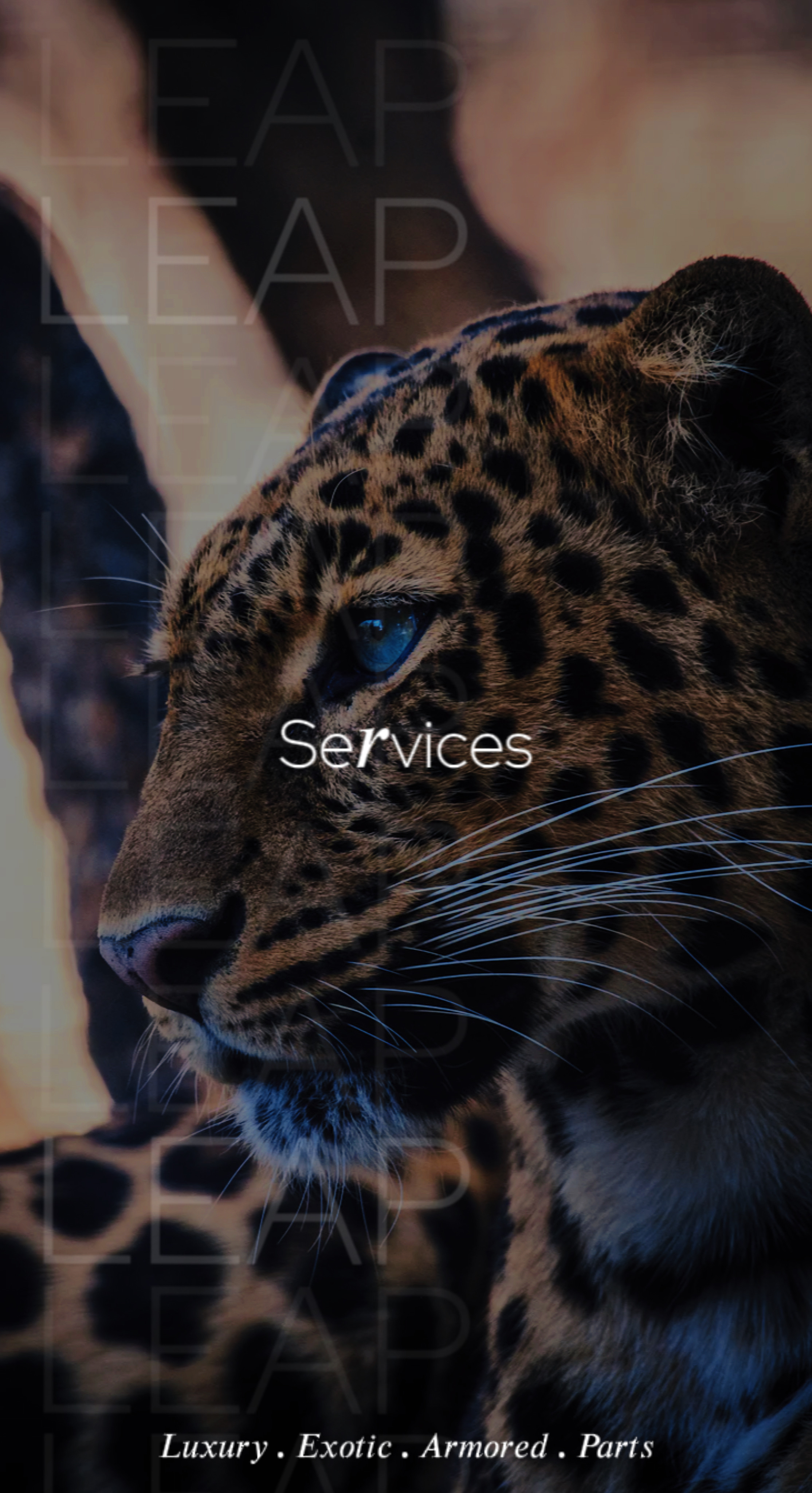 servicesBg2